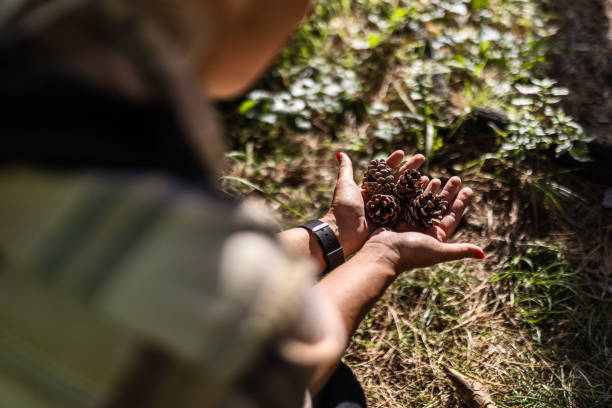 Woman in Forest Holding Pine Cones