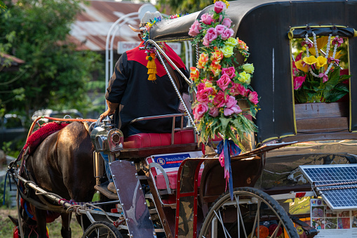 Horse and Cart, Lampang, Northern Thailand