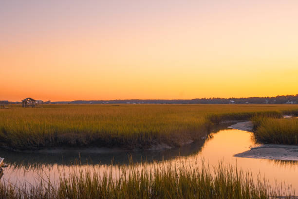 istock Sunset over the salt water marsh 1675719745