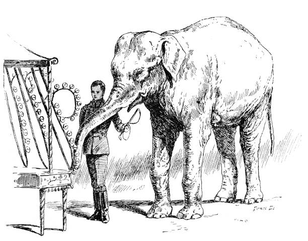 istock Miracles of Animal Taming, Bells playing elephant 1675726740