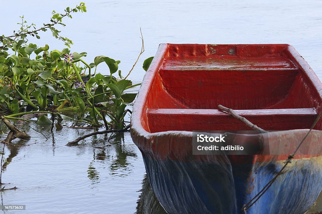 Ancorado vermelho e azul pequeno barco e água Hyacinths - Foto de stock de Aguapé royalty-free