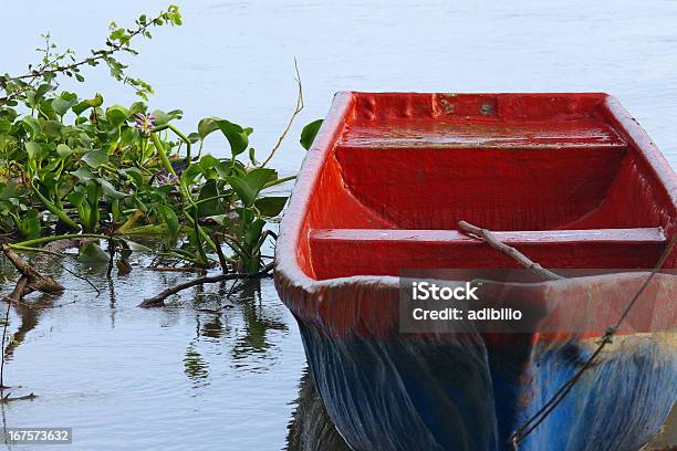 Foto de Ancorado Vermelho E Azul Pequeno Barco E Água Hyacinths e mais fotos de stock de Aguapé