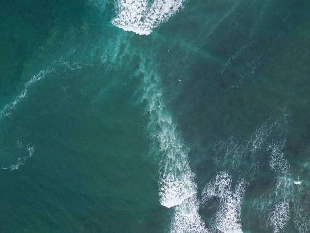 istock Small group of surfers in Buffalo bay 1675748768