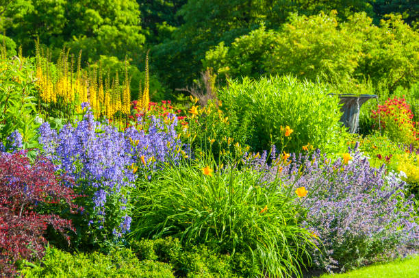 bunte garten - formal garden summer water park stock-fotos und bilder