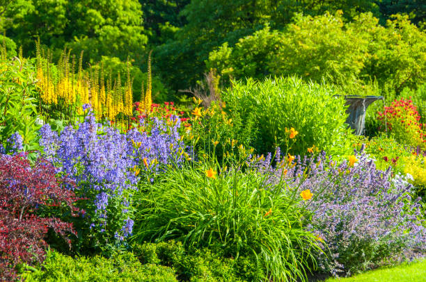 colorato giardino - formal garden flower bed lawn ornamental garden foto e immagini stock