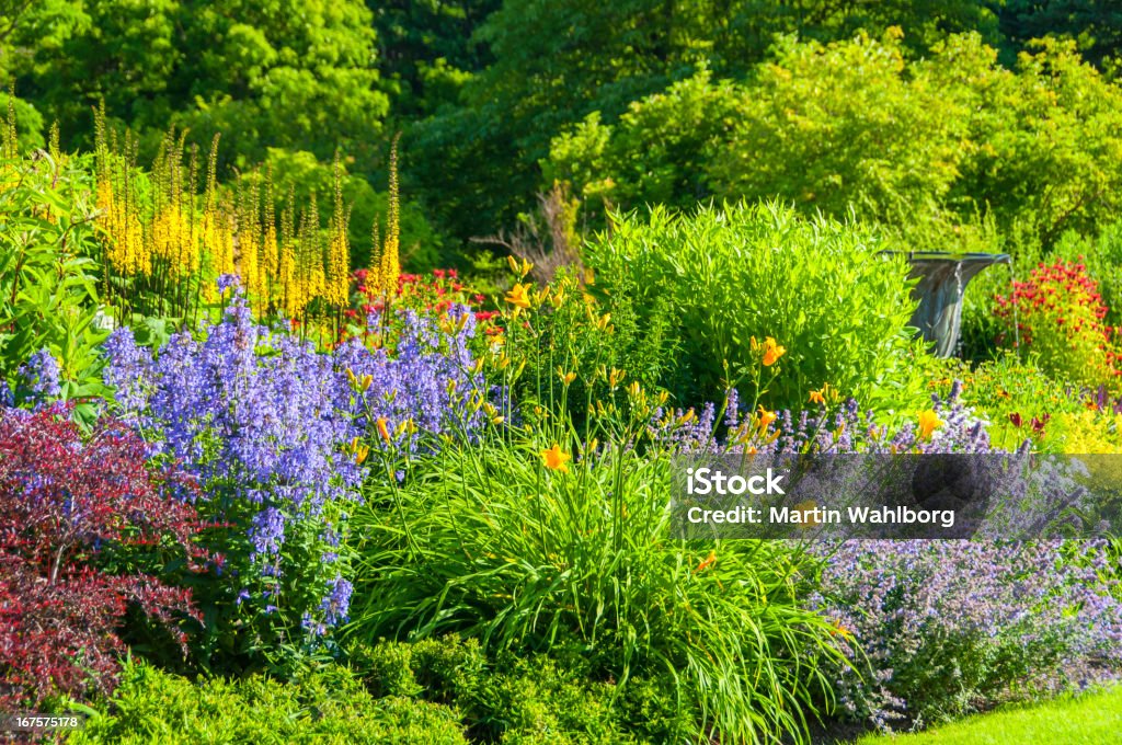 Colorful garden Botanical garden of Gothenburg, Sweden Perennial Stock Photo