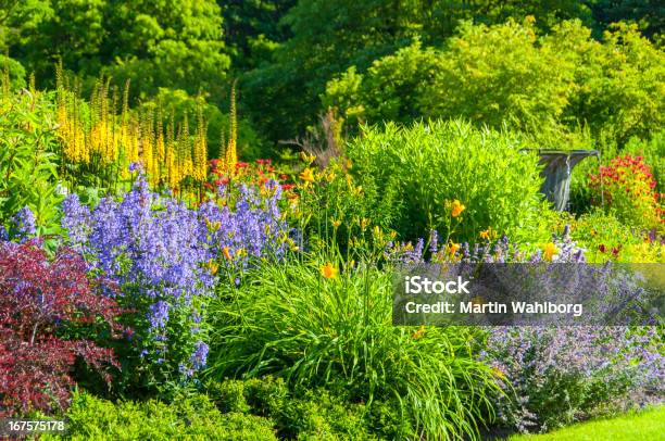Colorful Garden Stock Photo - Download Image Now - Perennial, Yard - Grounds, Bush