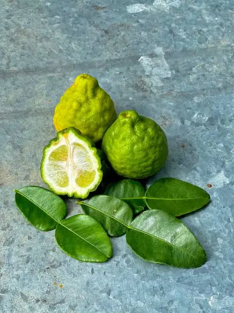 Kaffir lime is illustrated with a pearl leaf