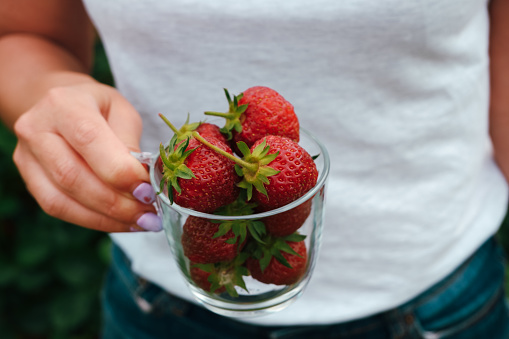 Vitamins from the garden. A young sports woman in shorts and a T-shirt in a summer garden holds a glass cup with ripe strawberries in her hands. Healthy eco breakfast.