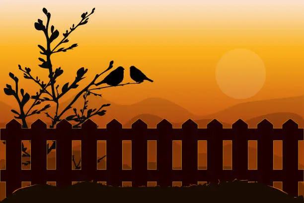 Vector illustration of Birds sitting on branch in sunset background. Two birds silhouette on tree at fence.