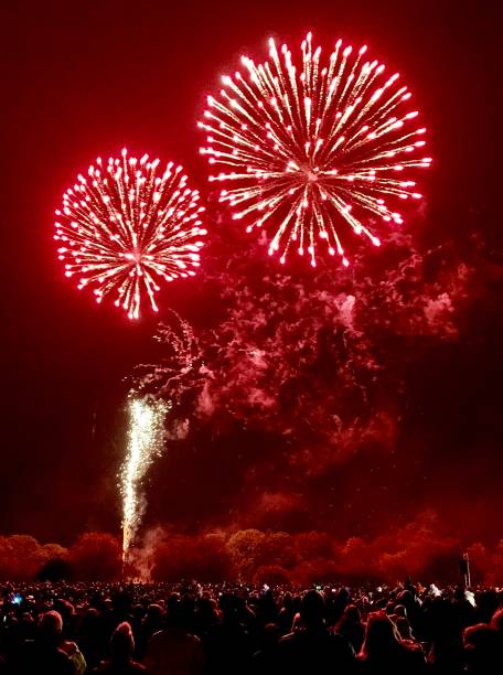 istock A vertical image of fireworks exploding in the sky watched by a crowd of people. 1675780521