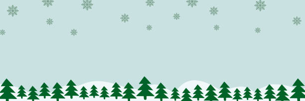 ilustrações, clipart, desenhos animados e ícones de fronteira com abeto verde, flocos de neve caindo, montes de neve com copyspace para texto. pinho, xmas plantas perenes banner. vetor de guirlanda de árvore de natal e padrão de derivas de neve. fundo plano. - pine tree evergreen tree backgrounds needle