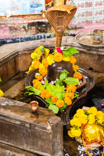 hindu deus senhor shivalinga estátua no templo antigo de ângulo diferente - shivalinga - fotografias e filmes do acervo