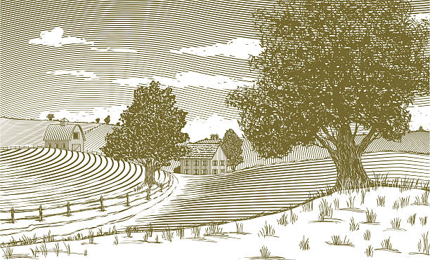 Woodcut of rural scene with houses and fields vector art illustration