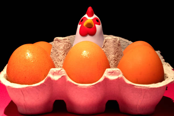 Toy chicken in egg carton with fresh hens eggs
