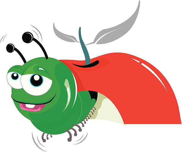Worm and apple A green horn worm is coming out of an apple\t caterpillar eating apple stock illustrations