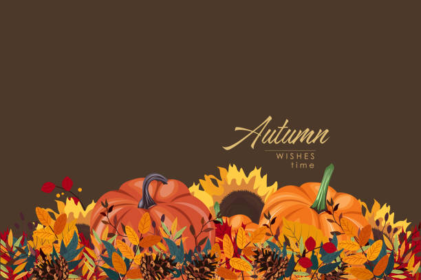 ilustrações de stock, clip art, desenhos animados e ícones de autumn border, autumn leaves, horizontal banner - thanksgiving autumn pumpkin backgrounds