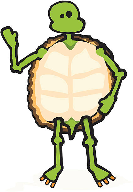 Mr. Turtle vector art illustration