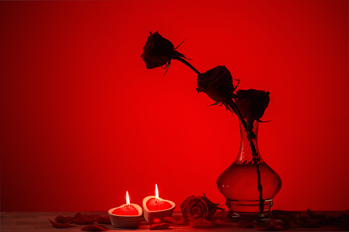silhouette of roses in vase with burning candles on red background