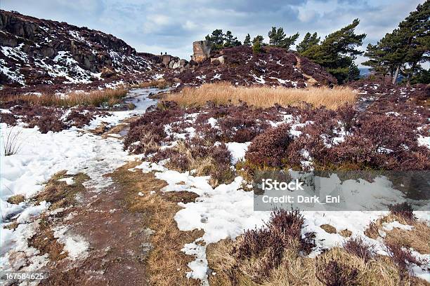 Ilkley Mehr Zwischen Winter Und Frühling Stockfoto und mehr Bilder von Baum - Baum, Bedeckter Himmel, Eis