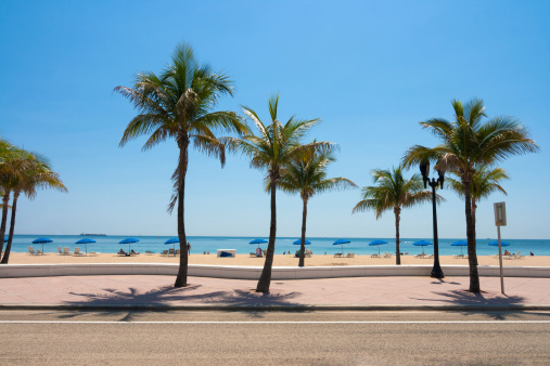 Fort Lauderdale beach and palm trees