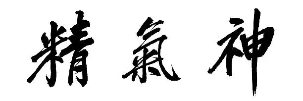 Chinese characters 'jing qi shen'. In traditional culture of China, Japan and korea, this word is used to describe something inner of person or object, just like spirit, pneuma, essence, vigour, vitality, energy, romantic charm,