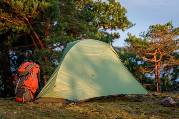 istock Green tent and backpack in the forest on the island. 1675873571