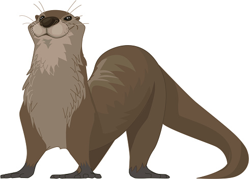 vector cartoon illustration of a happy otter