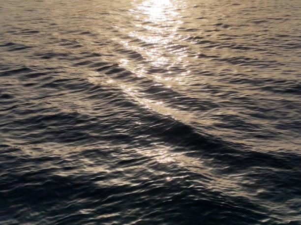 sunset reflected in the sea surface