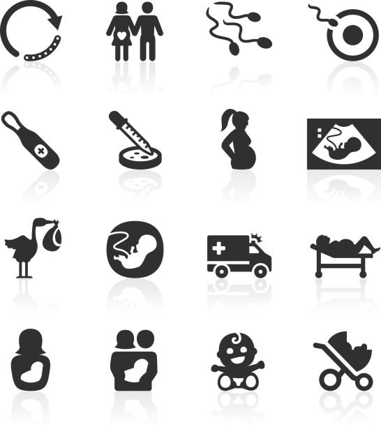 ilustraciones, imágenes clip art, dibujos animados e iconos de stock de iconos de embarazo - human fertility