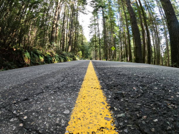 symmetry in motion - mt seymour provincial park imagens e fotografias de stock