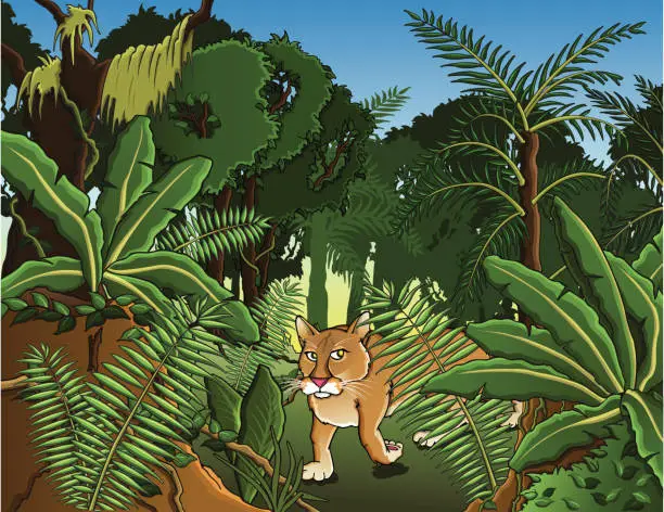 Vector illustration of Jungle with a Puma