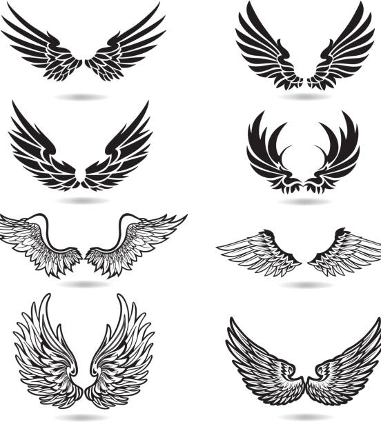 ilustraciones, imágenes clip art, dibujos animados e iconos de stock de alas de ilustración - alas angel