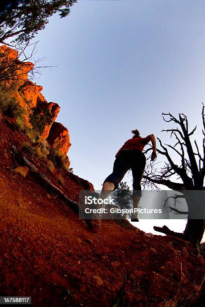 Trail Runner Ragazza - Fotografie stock e altre immagini di Corsa cross-country - Corsa cross-country, Donne, Notte