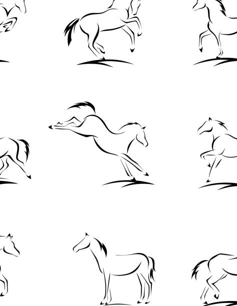 ilustraciones, imágenes clip art, dibujos animados e iconos de stock de bocetos de caballo - colts