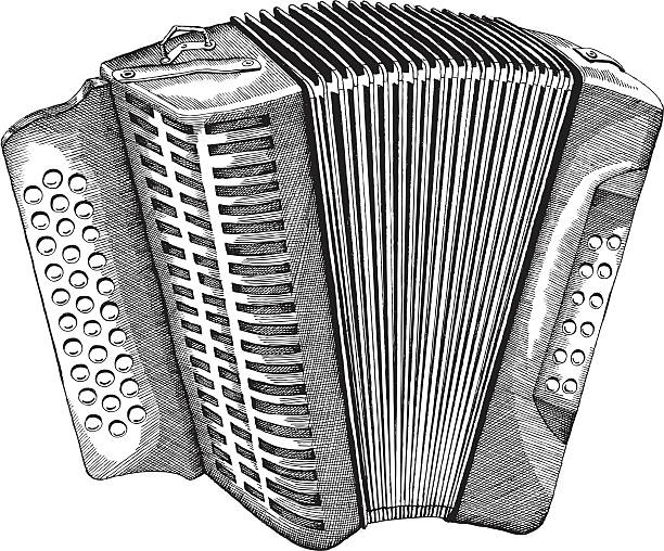 illustrazioni stock, clip art, cartoni animati e icone di tendenza di fisarmonica - accordion
