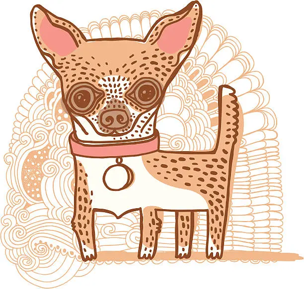 Vector illustration of Chihuahua