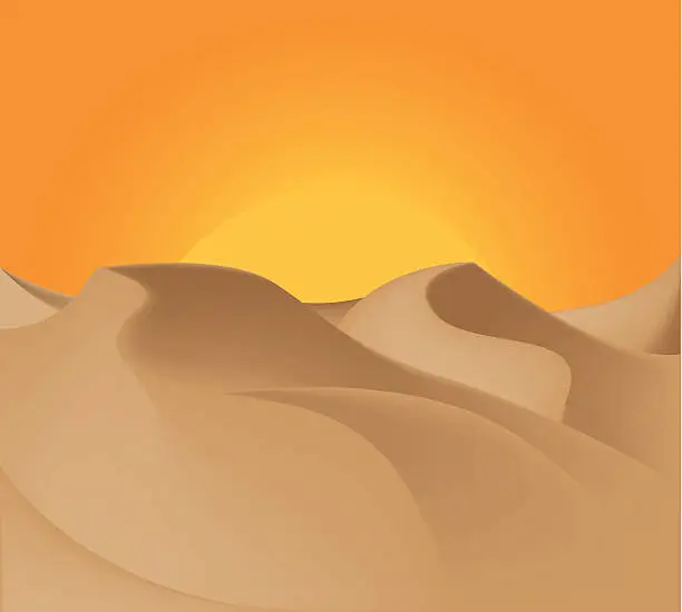 Vector illustration of desert sunset