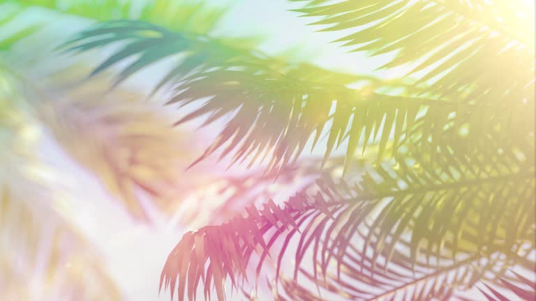 Animated background of colorful palm trees