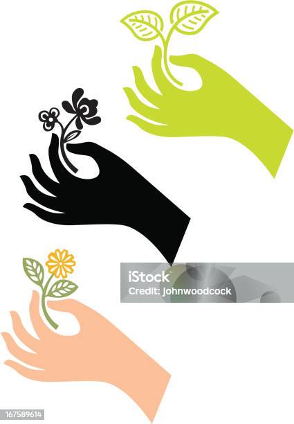 Hand And Branch Stock Illustration - Download Image Now - Branch - Plant Part, Human Hand, Holding