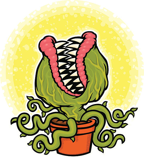 venus flytrap monster cartoon venus flytrap with lots of teeth and detail carnivorous stock illustrations