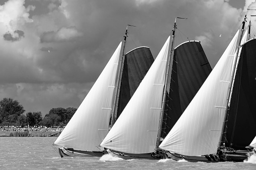 Skutsje classic sailboats sailing on the IJsselmeer near Lemmer in Frisia (Friesland) during the 2019 SKS Skutsjesilen race during a windy day in summer. Skûtsje sailboats are Frisian sailing boats of the type tjalk, originally an ordinary cargo boat, but now sailing boats used for racing.