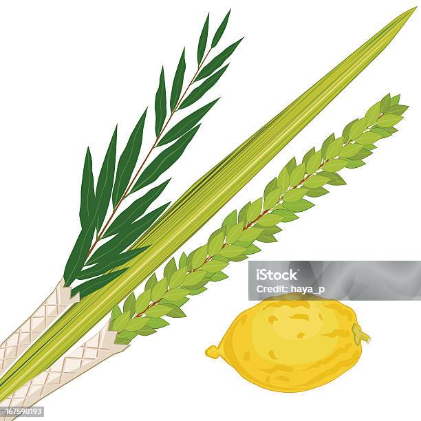Sukkoth Plants Stock Illustration - Download Image Now - Citron, Lulav, Concepts