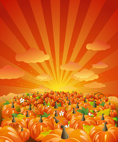 Self illustrated beautiful autumn background - pumpkin field.Each element in a separate layers.Very easy to edit vector file.