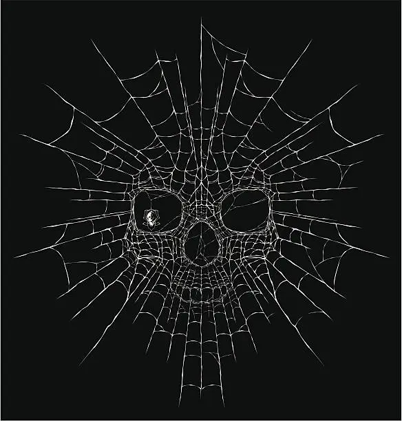 Vector illustration of spider web
