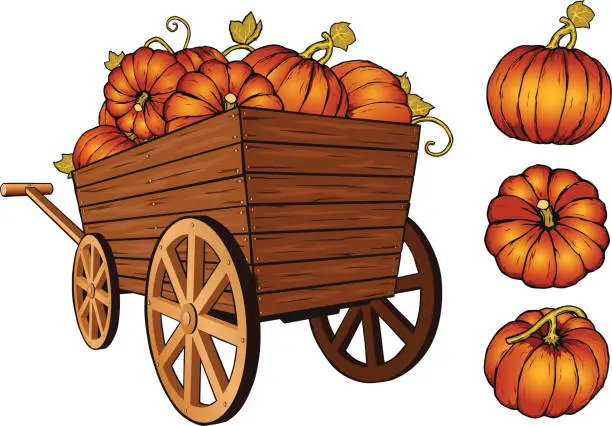 Vector illustration of pumpkins