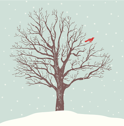 A tranquil snowfall scene of a single red bird perched on a hand-drawn tree. Copy space for your message. All elements on separate layers.