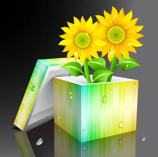 Vector illustration of Sunflowers