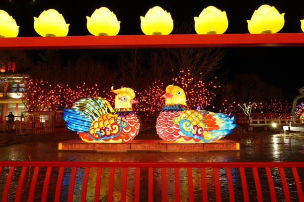 istock Chinese festive lantern at night 1675907998