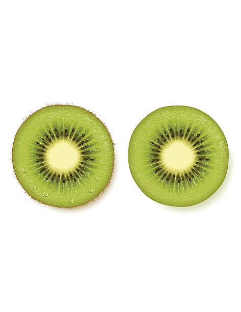 ilustrações de stock, clip art, desenhos animados e ícones de fatia de fruta kiwi - freshness food serving size kiwi